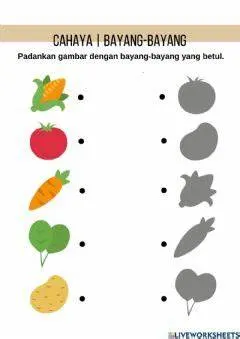 Cahaya dan Bayang Bayang Padankan Gambar dengan Bayangan - Lembar Kerja TK Menghubungkan (Matching)