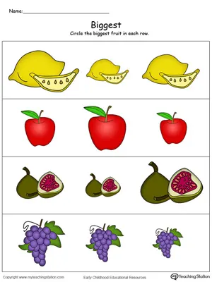 Lingkari Gambar Buah Berukuran Paling Besar - Lembar Kerja TK Sortir & Kategorisasi