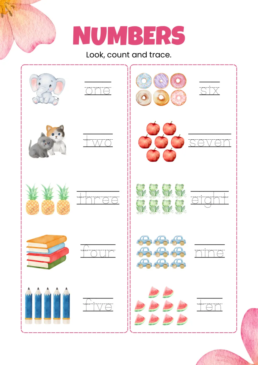 Lembar Kerja Kelas 1 SD: Buku Lembar Kerja Kosakata Bahasa Inggris Angka dan Kendaraan - Lembar Kerja SD Kosakata / Vocabulary