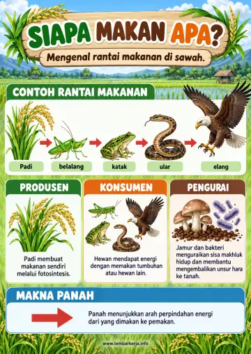 Apa Siapa Makan Mengenal Rantai Makanan di Sawah - Poster / Infografis